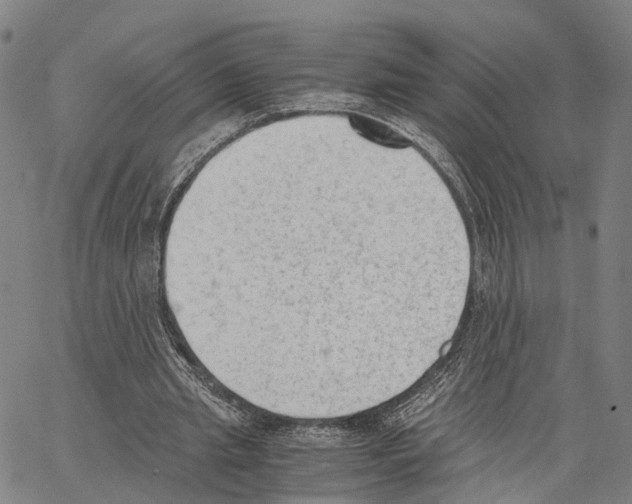 X0000062870437200602101655