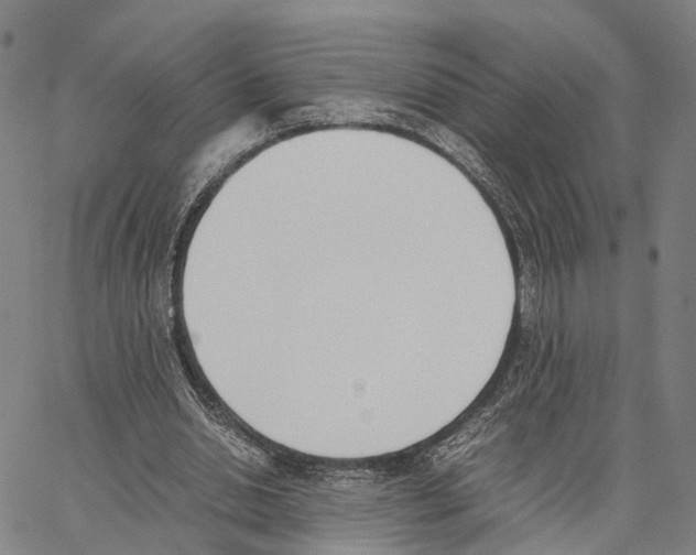 X0000062870438200602101655