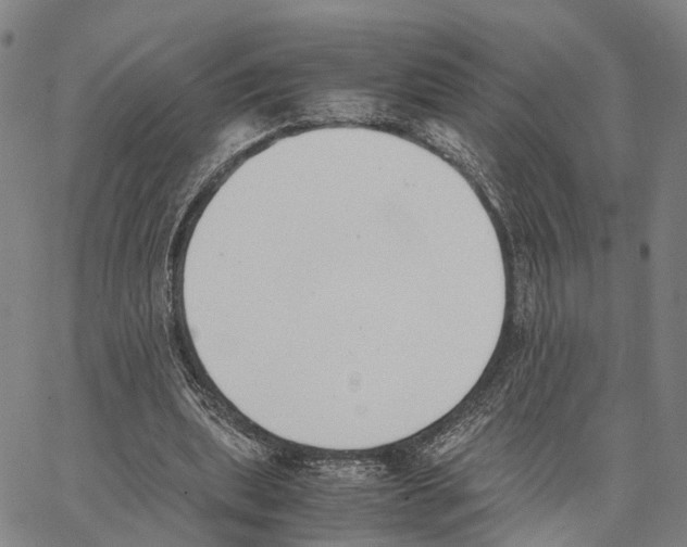 X0000062870439200602101655