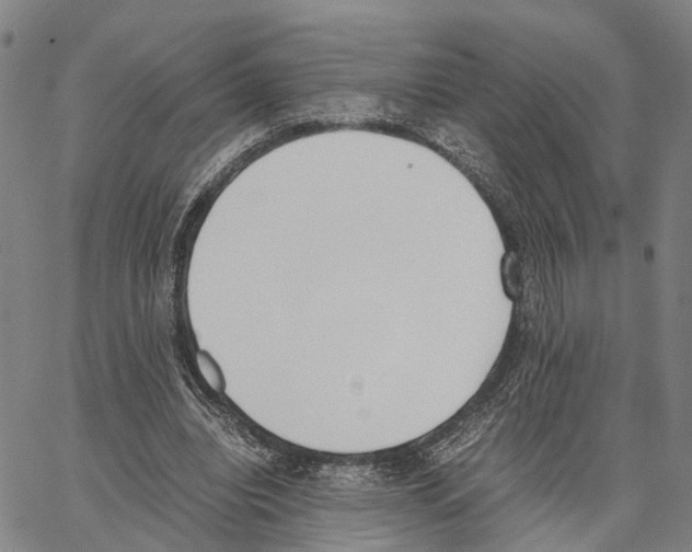 X0000062870440200602101655