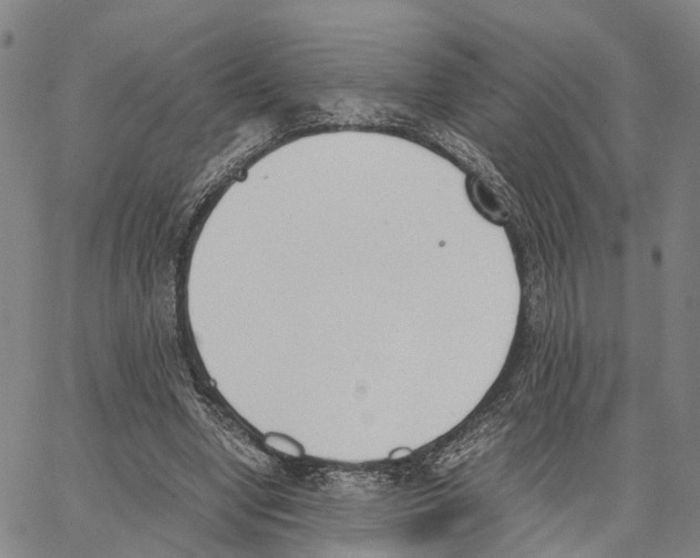 X0000062870442200602101655