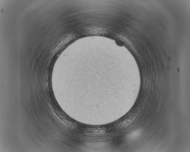 X0000062870443200602101655