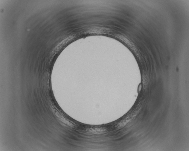 X0000062870445200602101655