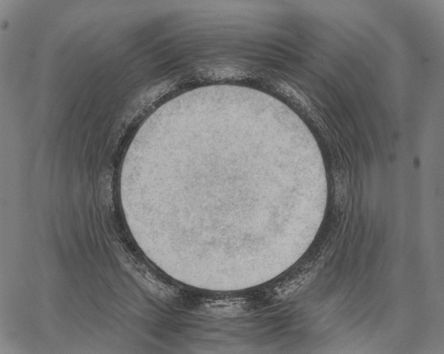 X0000062870447200602101655