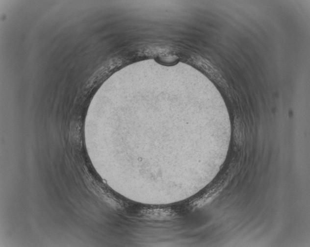 X0000062870449200602101655