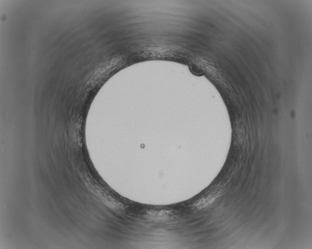 X0000062870450200602101655