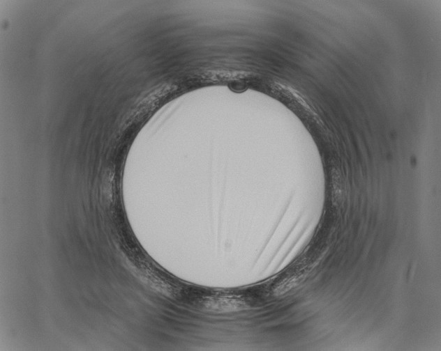 X0000062870451200602101655