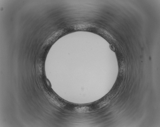 X0000062870452200602101655