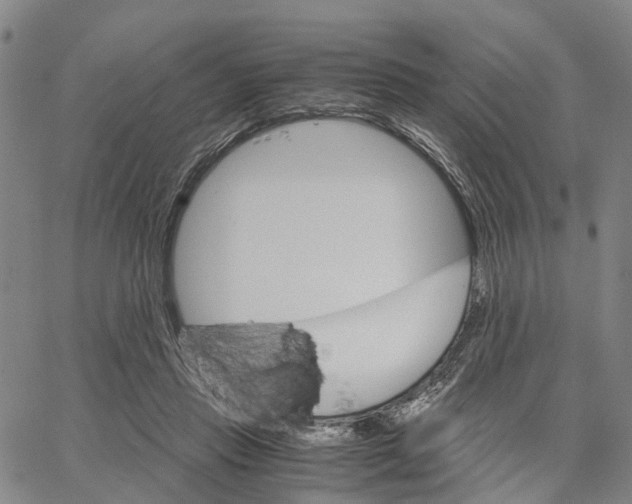 X0000062870453200602101655