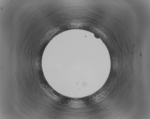 X0000062870455200602101656