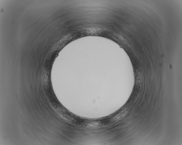 X0000062870456200602101656