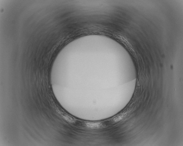 X0000062870457200602101656