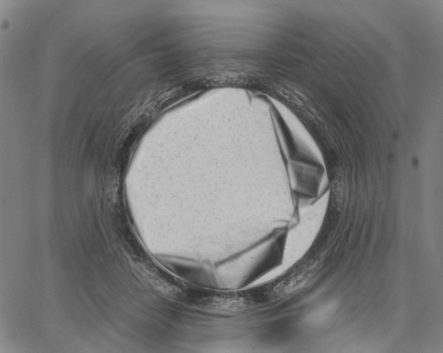 X0000062870458200602101656