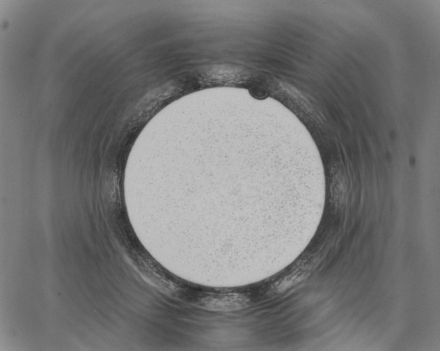 X0000062870459200602101656