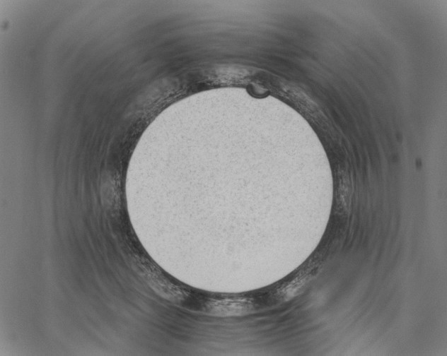 X0000062870461200602101656