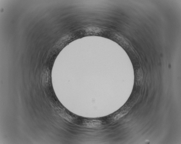 X0000062870463200602101656