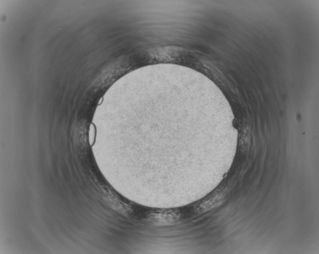 X0000062870466200602101656