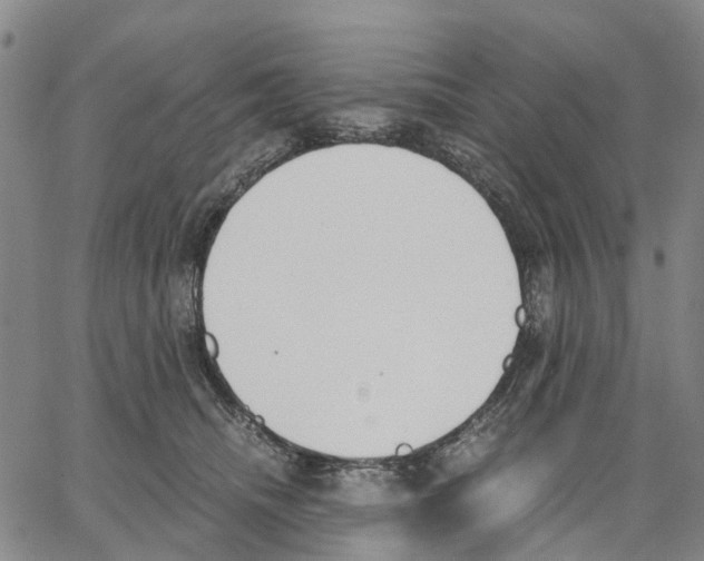 X0000062870468200602101656