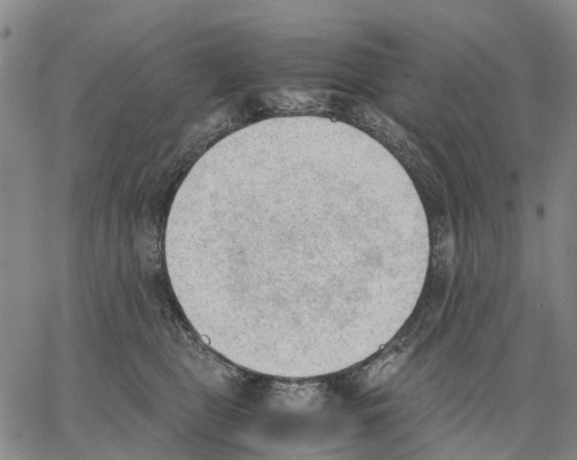 X0000062870469200602101656