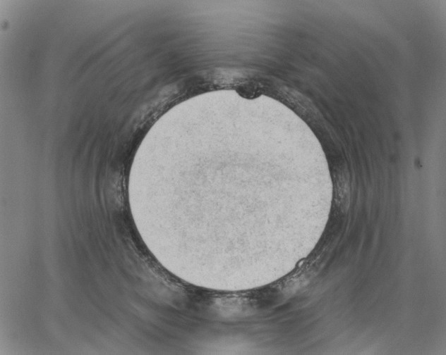 X0000062870470200602101656