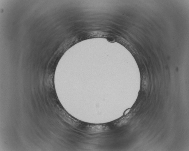 X0000062870473200602101656