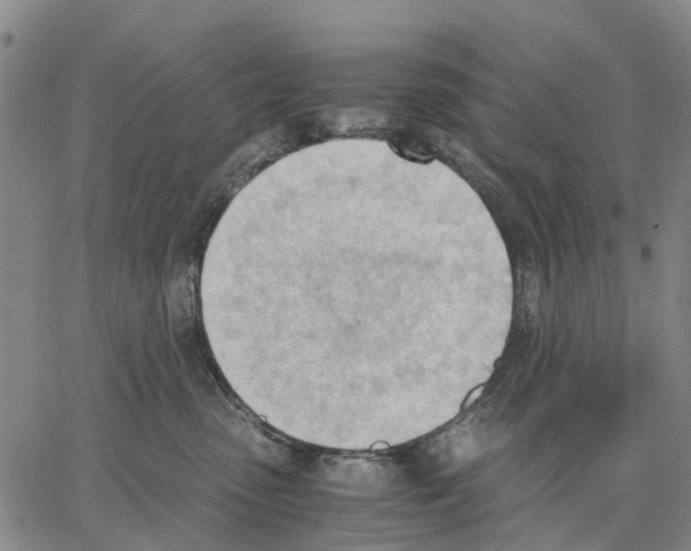 X0000062870475200602101656