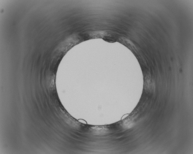 X0000062870477200602101656