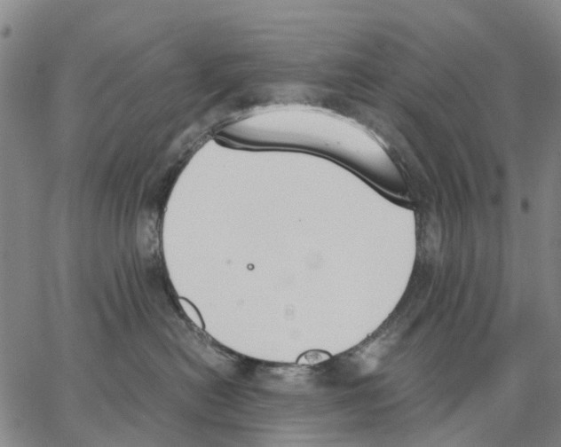 X0000062870478200602101656