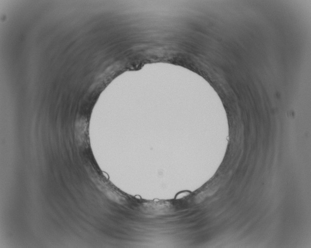 X0000062870480200602101656