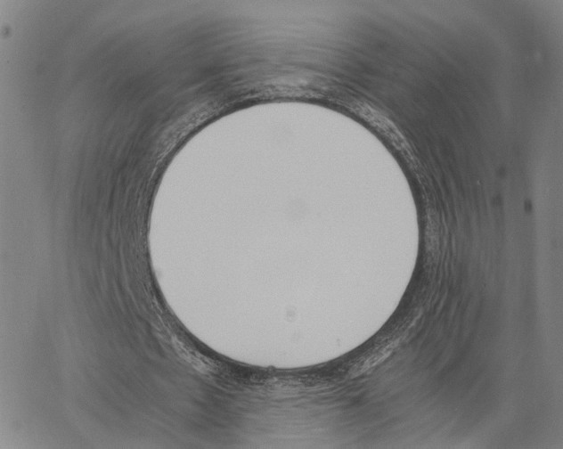 X0000062870481200602101655