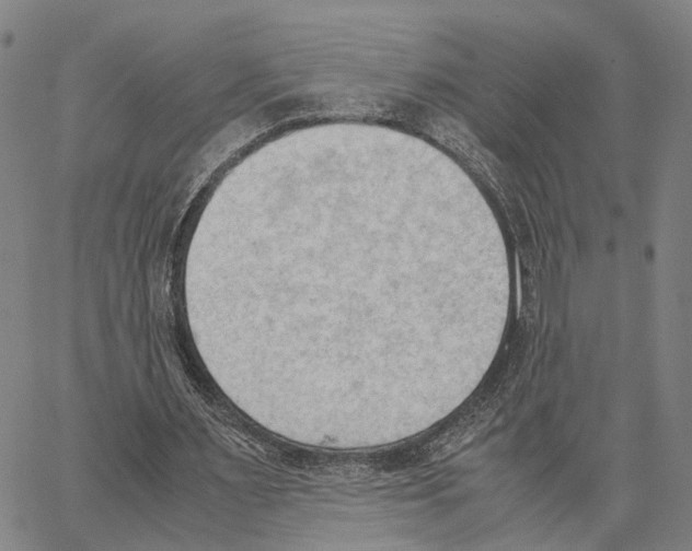 X0000062870483200602101655