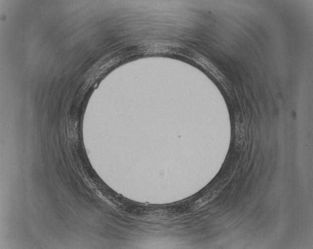 X0000062870485200602101655