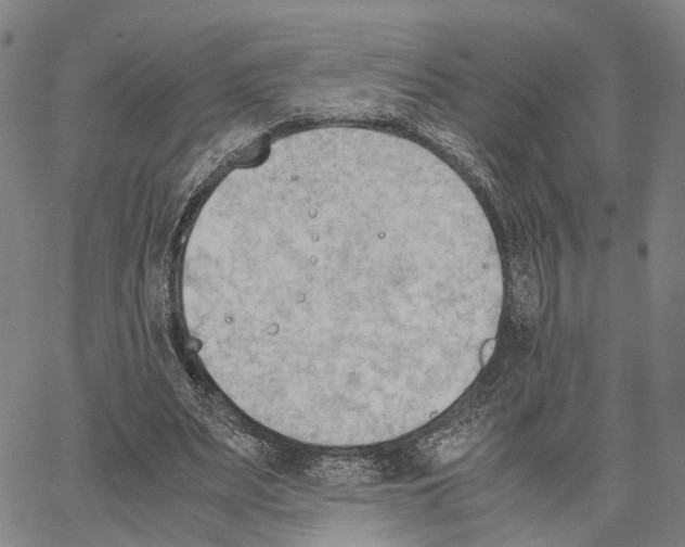 X0000062870487200602101655