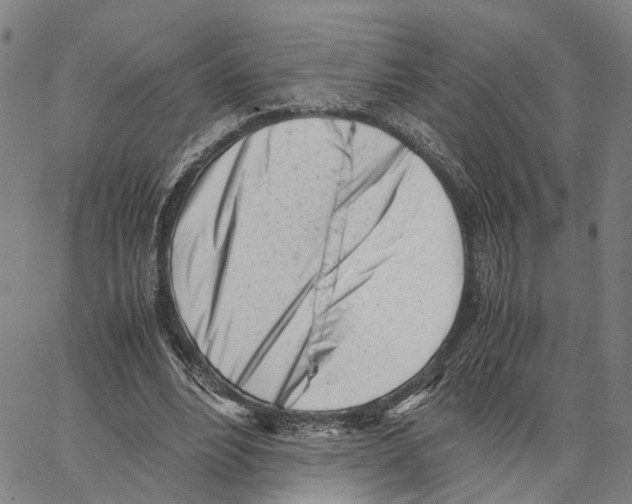 X0000062870488200602101655