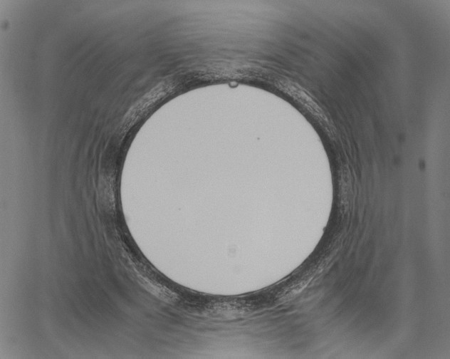 X0000062870489200602101655