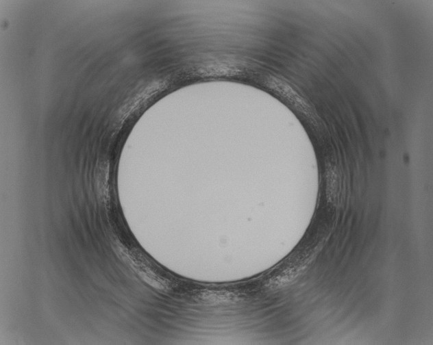 X0000062870490200602101655