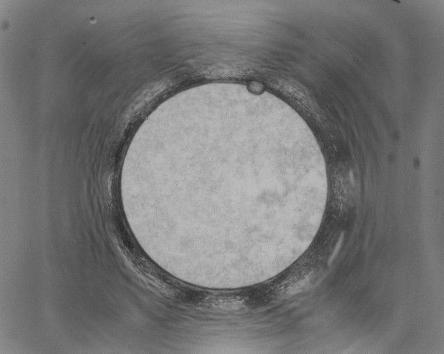 X0000062870491200602101655