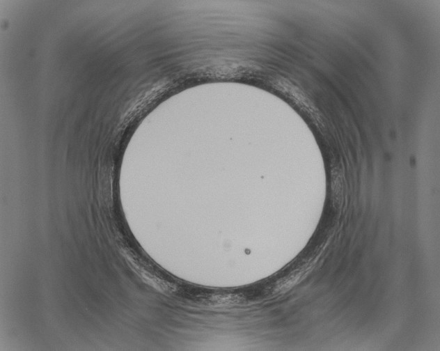 X0000062870493200602101655