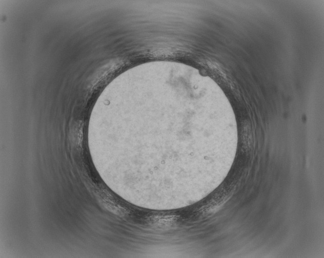 X0000062870495200602101655