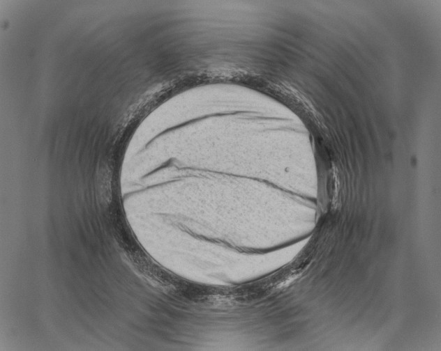 X0000062870496200602101655