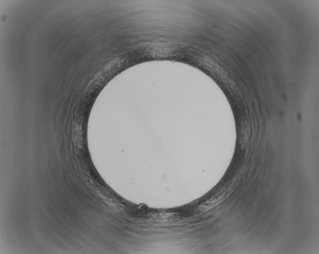 X0000062870497200602101655