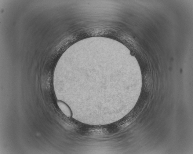 X0000062870499200602101655