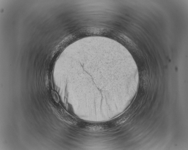 X0000062870500200602101655