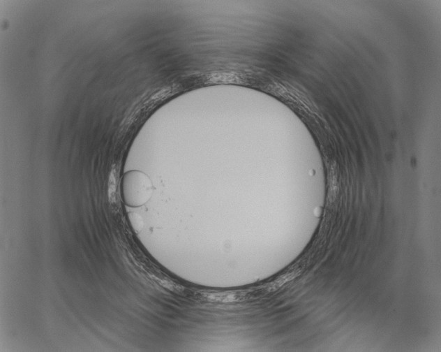 X0000062870502200602101655