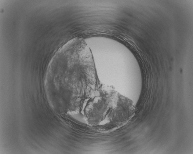 X0000062870503200602101655