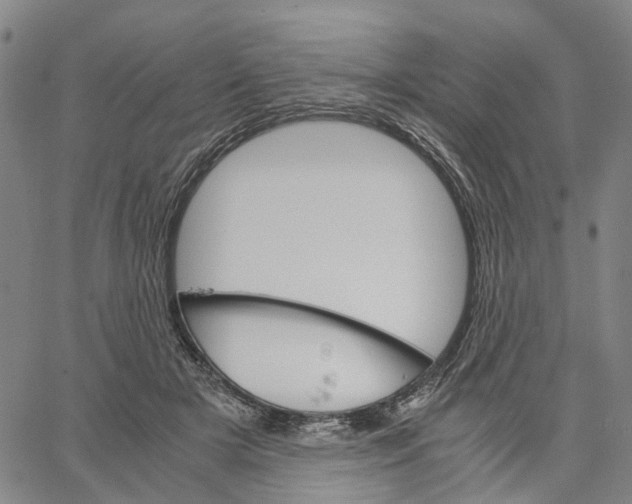 X0000062870505200602101655