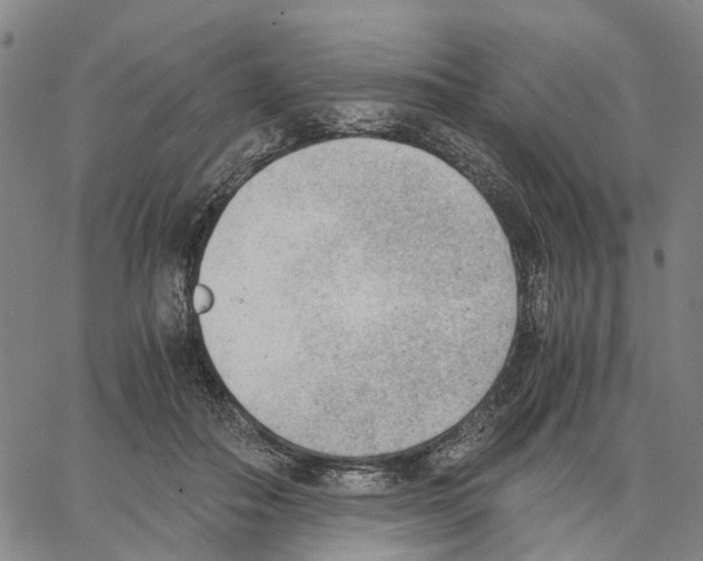 X0000062870506200602101655