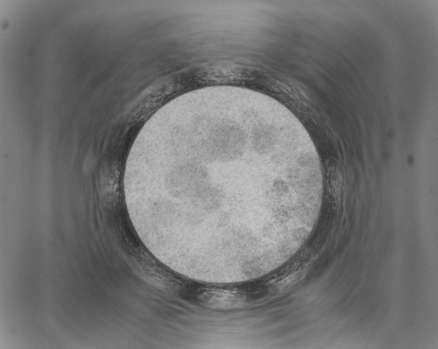 X0000062870507200602101655