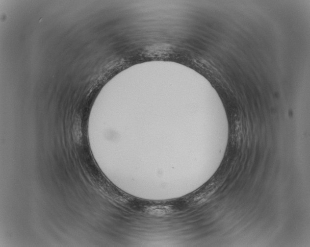 X0000062870508200602101655