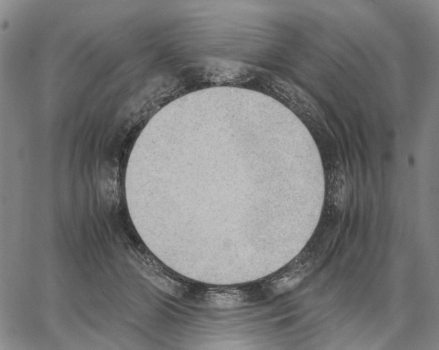 X0000062870510200602101655